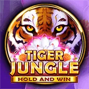 Minh họa các bước đăng ký tài khoản okking win