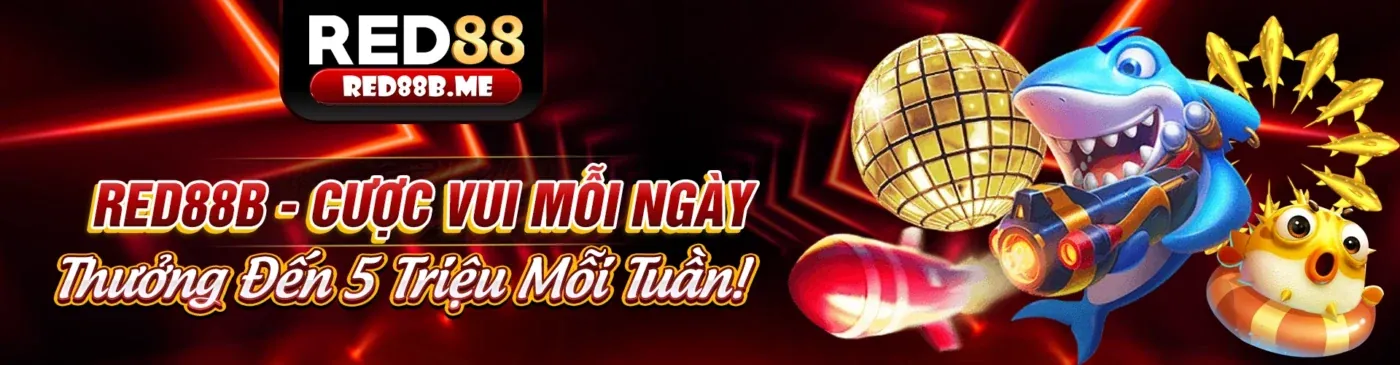 Thông báo nền tảng okking win với giao diện kỹ thuật số hiện đại